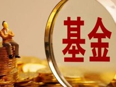 基金里的消费基金是什么意思？基金里的消费基金怎么理解